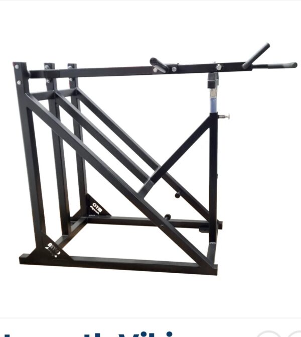 MYO Strength Viking Press