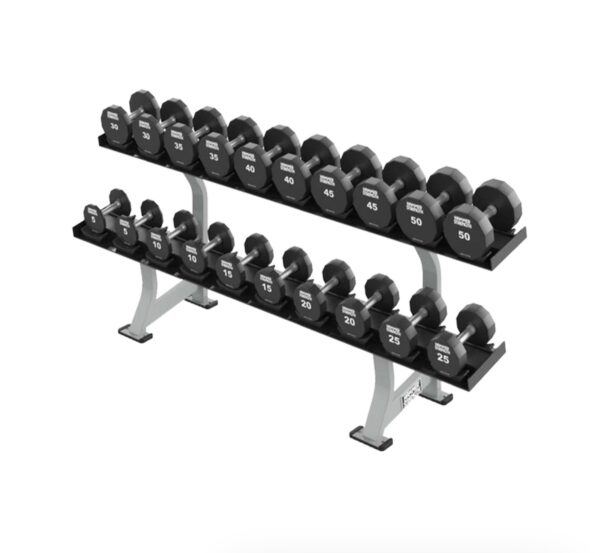 Hammer Strength 2 Tier 10 Pair Dumbbell Rack