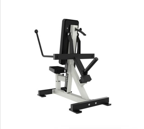 Strength Reloaded Tricep Kickback Dip