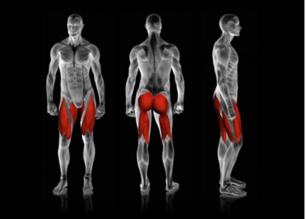 Rogers Pendulum Seated Squat Pro - Image 2
