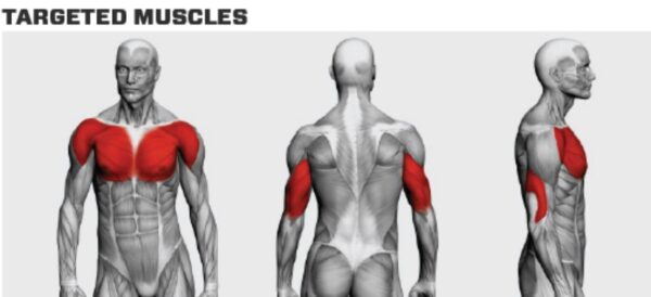 Rogers Performance Line Chest Press