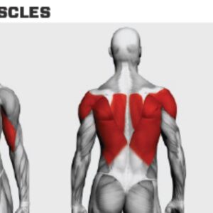 Rogers Performance Line 3 Way Row