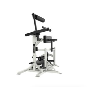 Strength Reloaded Posterior Chain Developer
